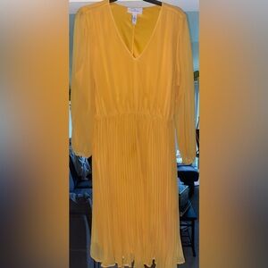 Plus size 70s Style Dress